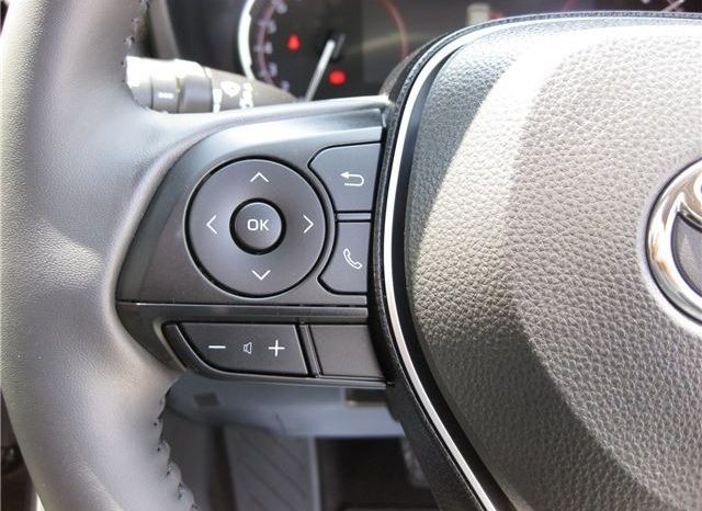 Toyota RAV4 G-Z Package 2019 full