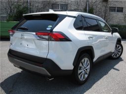 Toyota RAV4 G-Z Package 2019 full