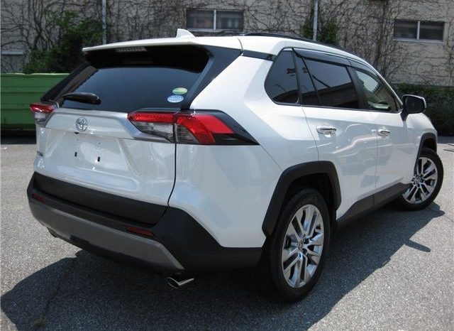 Toyota RAV4 G-Z Package 2019 full