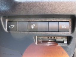 Toyota RAV4 G-Z Package 2019 full