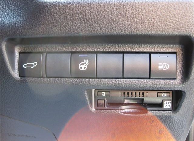 Toyota RAV4 G-Z Package 2019 full