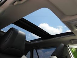 Toyota RAV4 G-Z Package 2019 full