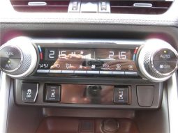 Toyota RAV4 G-Z Package 2019 full