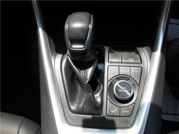 Toyota RAV4 G-Z Package 2019 full