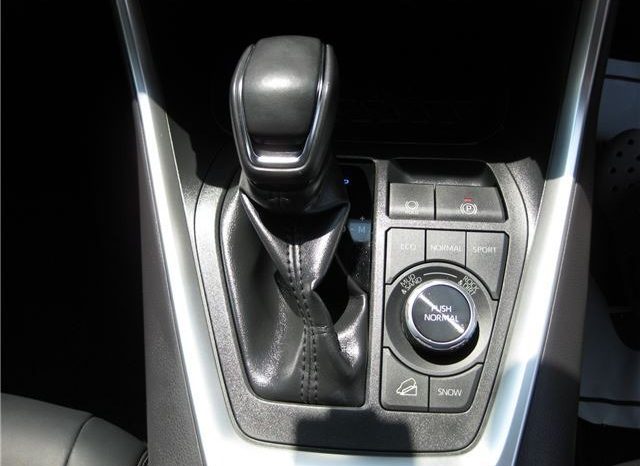 Toyota RAV4 G-Z Package 2019 full