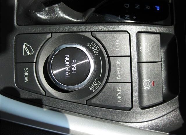 Toyota RAV4 G-Z Package 2019 full