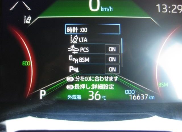 Toyota RAV4 G-Z Package 2019 full