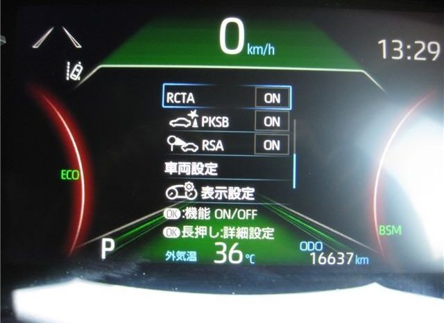 Toyota RAV4 G-Z Package 2019 full