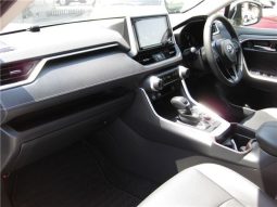 Toyota RAV4 G-Z Package 2019 full