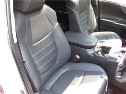 Toyota RAV4 G-Z Package 2019 full