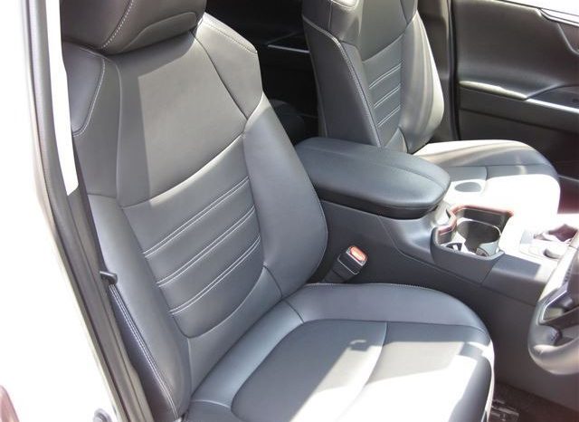 Toyota RAV4 G-Z Package 2019 full