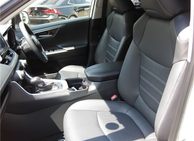 Toyota RAV4 G-Z Package 2019 full