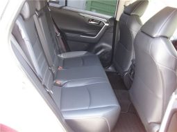 Toyota RAV4 G-Z Package 2019 full