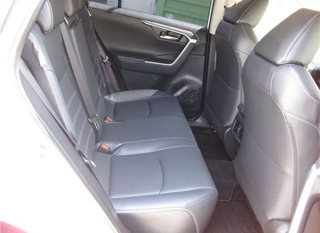 Toyota RAV4 G-Z Package 2019 full