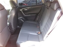 Toyota RAV4 G-Z Package 2019 full