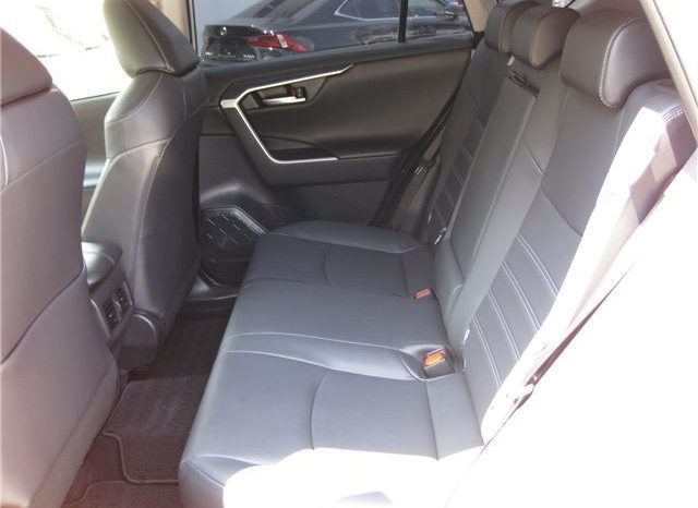 Toyota RAV4 G-Z Package 2019 full