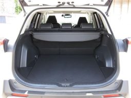 Toyota RAV4 G-Z Package 2019 full