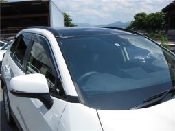 Toyota RAV4 G-Z Package 2019 full