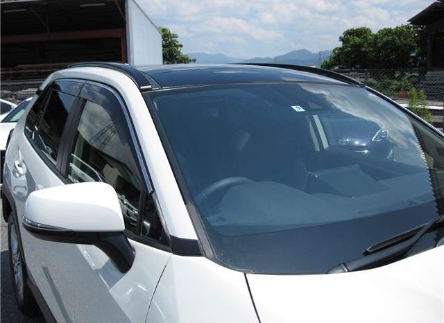 Toyota RAV4 G-Z Package 2019 full