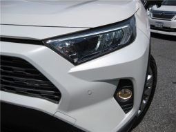 Toyota RAV4 G-Z Package 2019 full