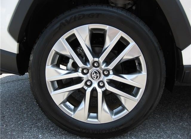 Toyota RAV4 G-Z Package 2019 full