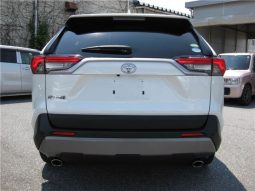Toyota RAV4 G-Z Package 2019 full