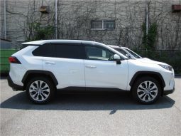 Toyota RAV4 G-Z Package 2019 full