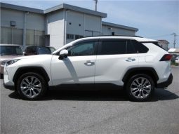 Toyota RAV4 G-Z Package 2019 full