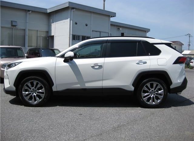 Toyota RAV4 G-Z Package 2019 full