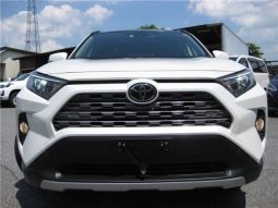 Toyota RAV4 G-Z Package 2019 full