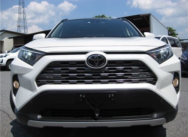 Toyota RAV4 G-Z Package 2019 full