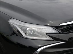 Toyota Mark X 250G F Package 2019 full