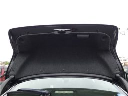 Toyota Mark X 250G F Package 2019 full