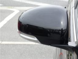 Toyota Mark X 250G F Package 2019 full