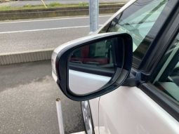 Honda Fit G Sporty Edition 2010 full