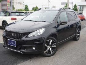 Peugeot 2008 GT Line 2017