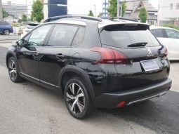 Peugeot 2008 GT Line 2017 full