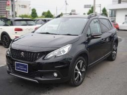 Peugeot 2008 GT Line 2017 full