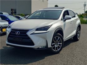Lexus NX  NX300 I Package 2016