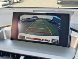 Lexus NX  NX300 I Package 2016 full