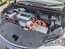 Lexus NX  NX300 I Package 2016 full