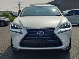 Lexus NX  NX300 I Package 2016 full