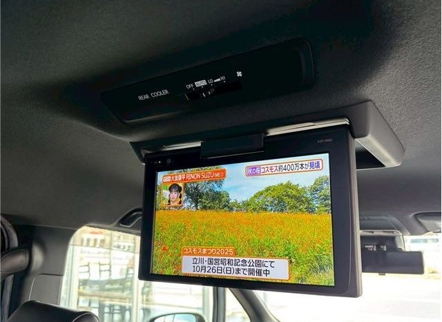 Toyota Noah  Si Double B 2016 full