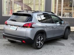 Peugeot 2008 2008 GT Line 2016 full