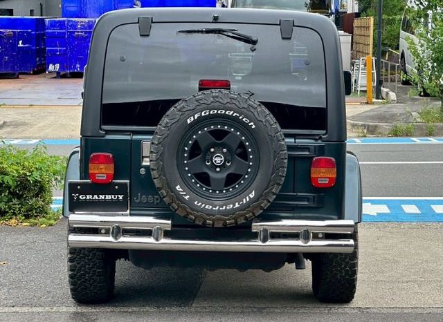 Chrysler Jeep Wrangler Sahara 2005 full