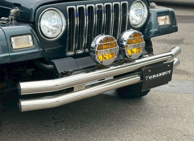 Chrysler Jeep Wrangler Sahara 2005 full