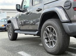 Jeep Wrangler 2.0 80th Anniversary 2021 full