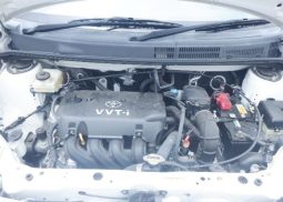 Toyota Raum 2009 full