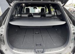 Toyota Harrier Premium 2014 full