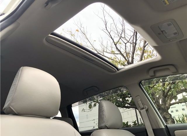 Toyota Wish G 2009 full